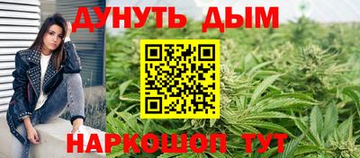 Альфа ПВП Краснознаменск