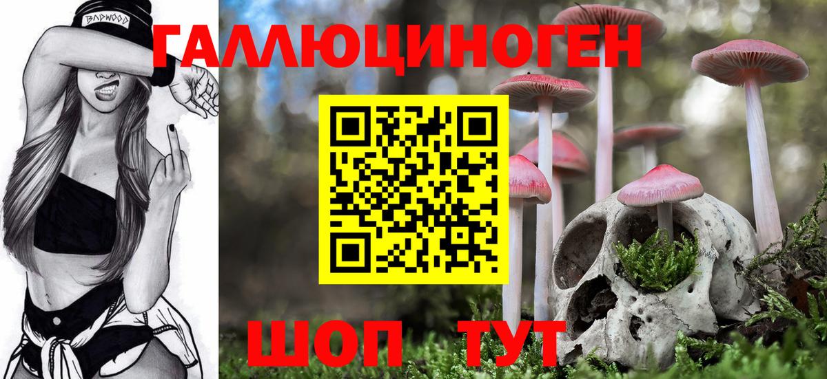 Галлюциногенные грибы MAGIC MUSHROOMS  Псилоцибиновые грибы GOLDEN TEACHER  где найти наркотики  Вход с VPN  Котельники 