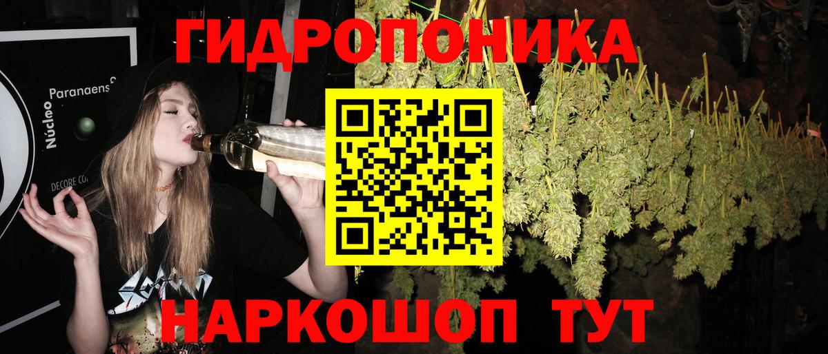 Конопля семена  Вход с VPN  Марихуана план  Бошки Шишки OG Kush  Бошки марихуана Bruce Banner  Котельники 